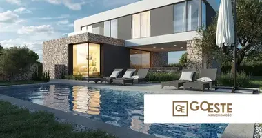 Maison 4 chambres dans Opcina Dezanovac, Croatie