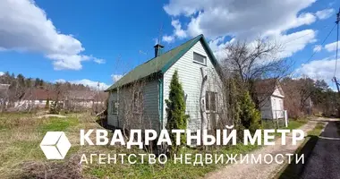 Haus in Zdanovicki sielski Saviet, Belarus