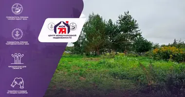 Plot of land in Palacanski sielski Saviet, Belarus