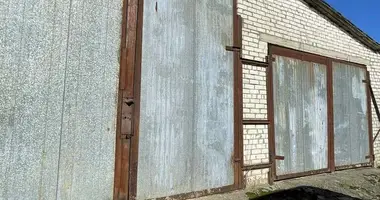Gewerbefläche 330 m² in Nawahrudak, Belarus
