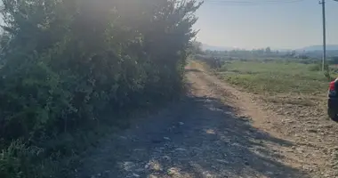 Участок земли в Натахтари, Грузия