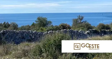 Plot of land in Opcina Dezanovac, Croatia