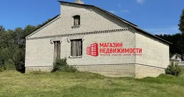 Haus in Sapotskin, Belarus