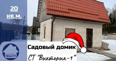 House in Liasnianski sielski Saviet, Belarus