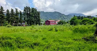 Plot of land in Batumi, Georgia