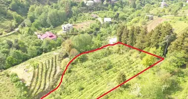 Участок земли в Мурманети, Грузия