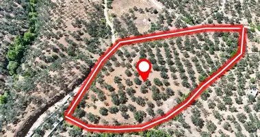 Terrain dans , Turquie