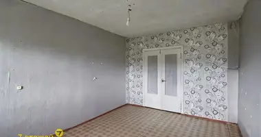 Apartment in Zaslauje, Belarus