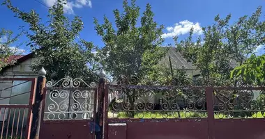Casa en Nyasvizh, Belarús