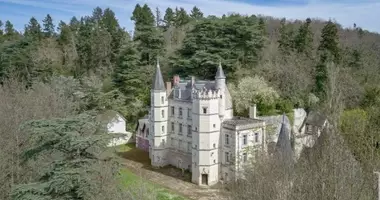 Замок 7 спален в Метрополия Франции, Франция