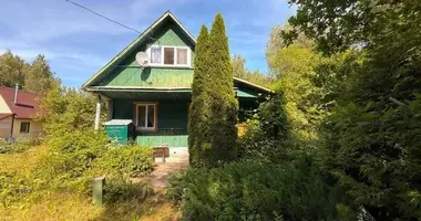 House in Rakauski sielski Saviet, Belarus
