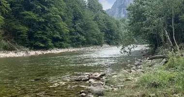 Plot of land in Kolasin, Montenegro