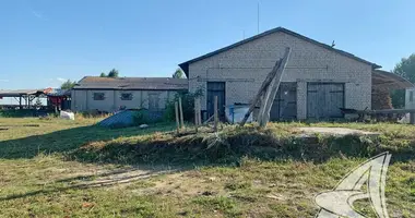 Manufacture in Zhabinka District, Belarus