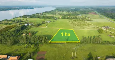 Участок земли в Daugmale, Латвия