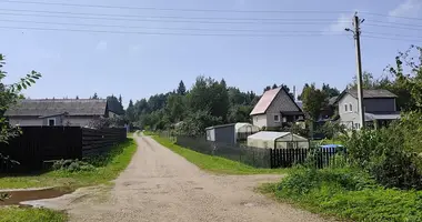 Haus in Januskavicki sielski Saviet, Belarus