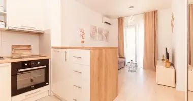 Wohnung 1 Schlafzimmer in Tivat, Montenegro