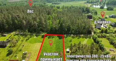 Plot of land in Piarezyrski sielski Saviet, Belarus