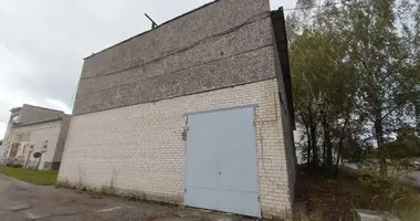Gewerbefläche 300 m² in Olai, Lettland