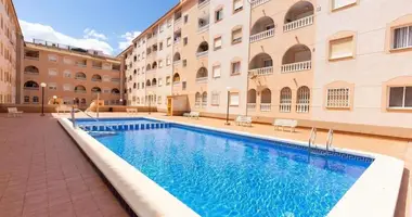 Mieszkanie 1 pokój w Torrevieja, Hiszpania