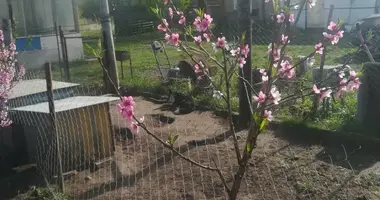 Haus in Tracciakouski sielski Saviet, Belarus