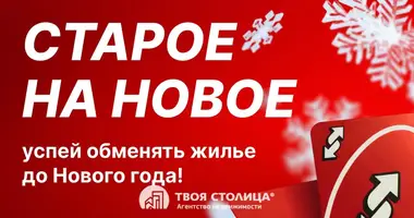 1 bedroom apartment in Minsk, Belarus