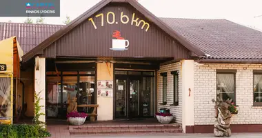 Propriété commerciale 414 m² dans Ariogala, Lituanie
