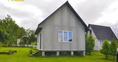 Дом в Олехновичский сельский Совет, Беларусь