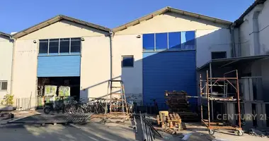 Gewerbefläche 600 m² in Tirana, Albanien