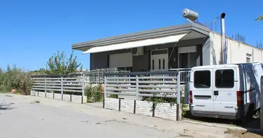 Cottage 3 bedrooms in Sfendami, Greece