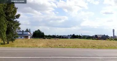 Grundstück in Raseinen, Litauen