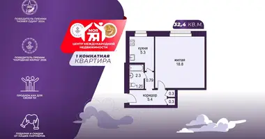 1 room apartment in Salihorsk, Belarus