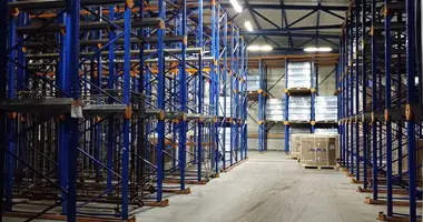 Склад 1 600 м² в Дубовая Роща, Россия