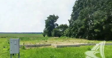 Terrain dans Lyscycki sielski Saviet, Bélarus