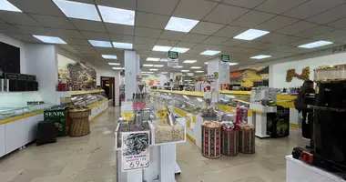 Propiedad comercial 281 m² en Yenisehir, Turquía