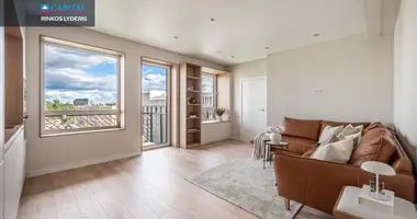 2 room apartment in Vilnius, Lithuania