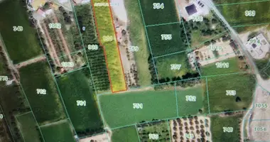 Terrain dans Kolossi Municipality, Chypre