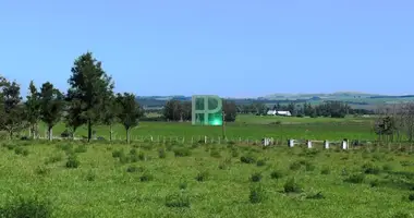 Działka w Punta Ballena, Urugwaj