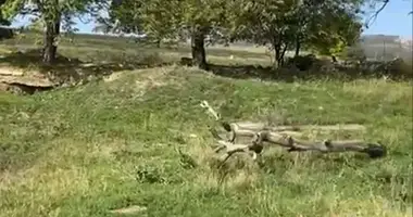 Plot of land in Tbilisi, Georgia