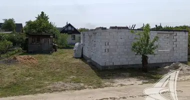 Plot of land in Matykalski sielski Saviet, Belarus