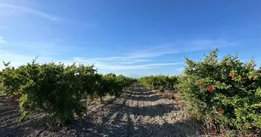 Działka w Serik, Turcja