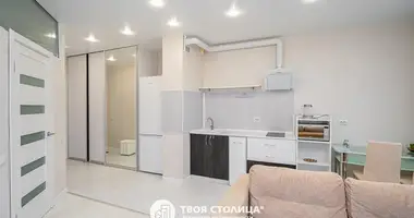 1 bedroom apartment in Minsk, Belarus