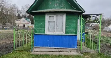 Maison dans Zodzinski sielski Saviet, Bélarus