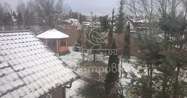 Dom w Pozdnyakovo, Rosja