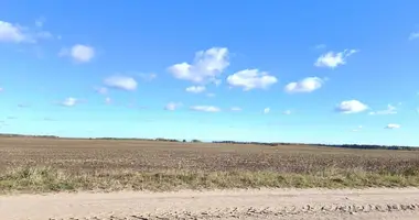 Plot of land in Bukonys, Lithuania