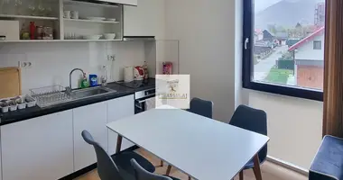 Apartamento 1 habitacion en Kolasin, Montenegro