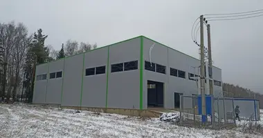 Склад 3 000 м² в городской округ Ступино, Россия