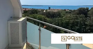 Appartement 2 chambres dans Opcina Dezanovac, Croatie