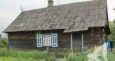 House in Kamenets District, Belarus