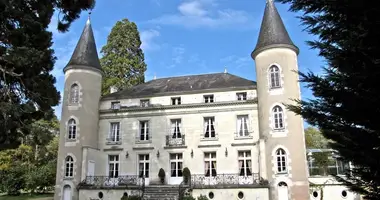 Castillo 17 habitaciones en Tours, Francia