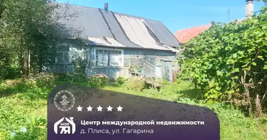 House in Plisa, Belarus